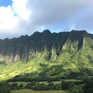 Meet your Posher, Madonna